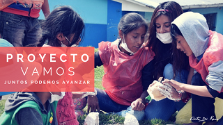 Proyecto Vamos
